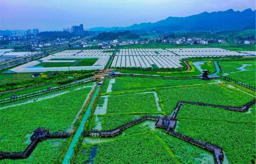 花溪区：高原坝子上的防疫压力与地理屏障