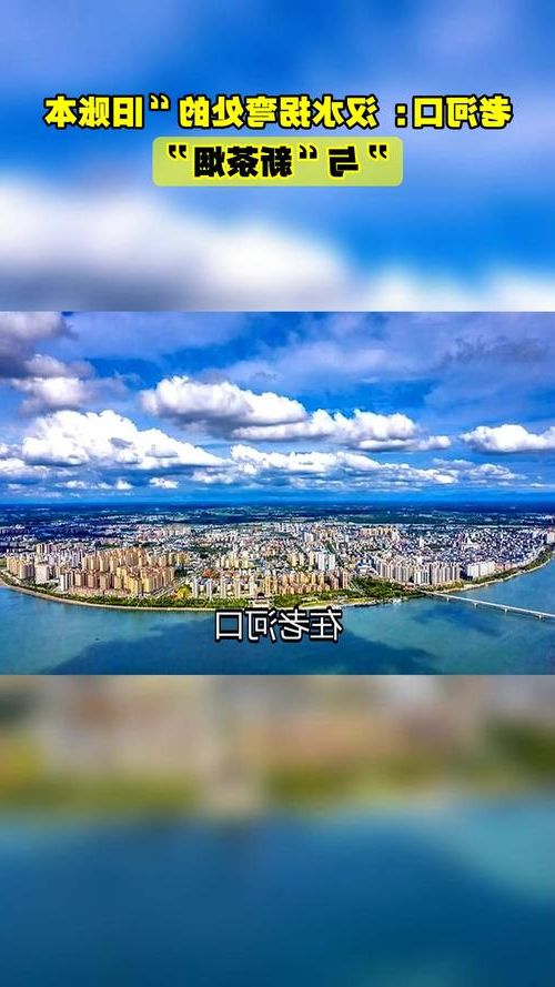 老河口：汉江咽喉的零感染坚守与防控逻辑_28683