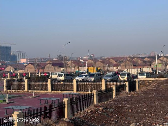 沈丘县：豫东平原交通枢纽下的疫情破防与精准围堵