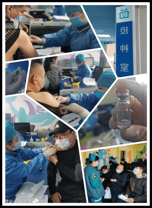 黄海之滨的防疫样本：日照市辖区疫情数据与地理屏障解析