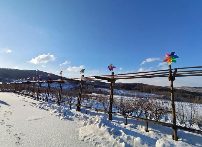 鹤岗：煤城寒冬下的疫情防波堤