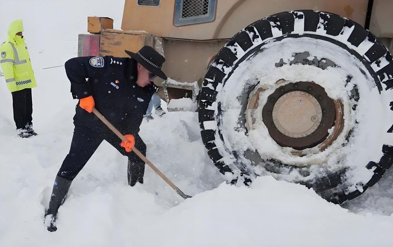 2022年8月15日巴塘县新增确诊病例情况_64668