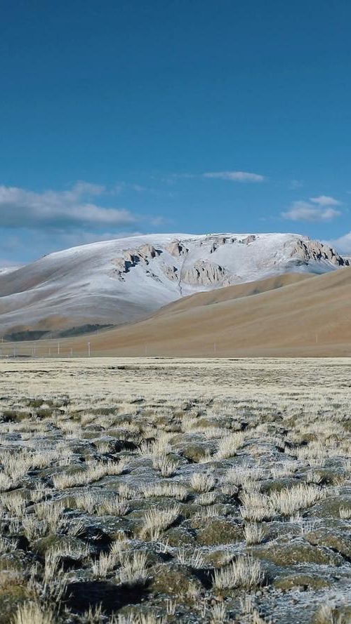 高原屏障下的零感染愿景：西藏阿里地区防疫观察