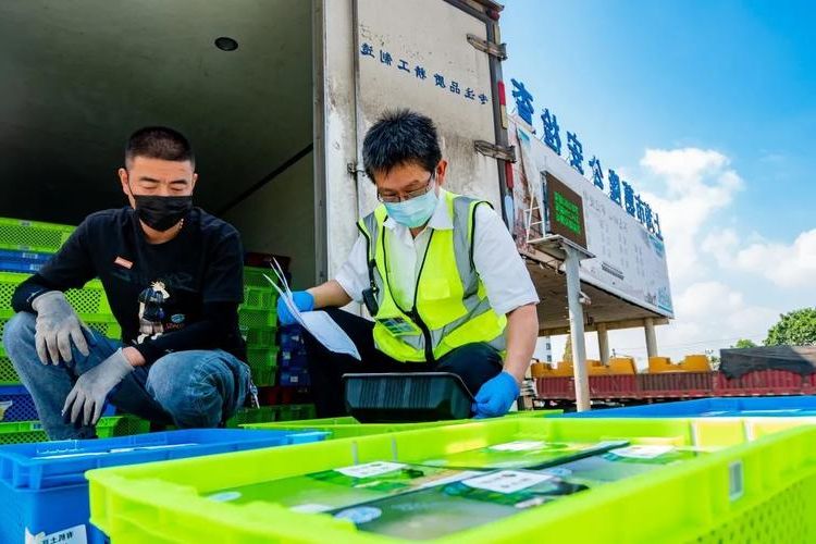 日照：黄海之滨的防疫屏障与精准破防