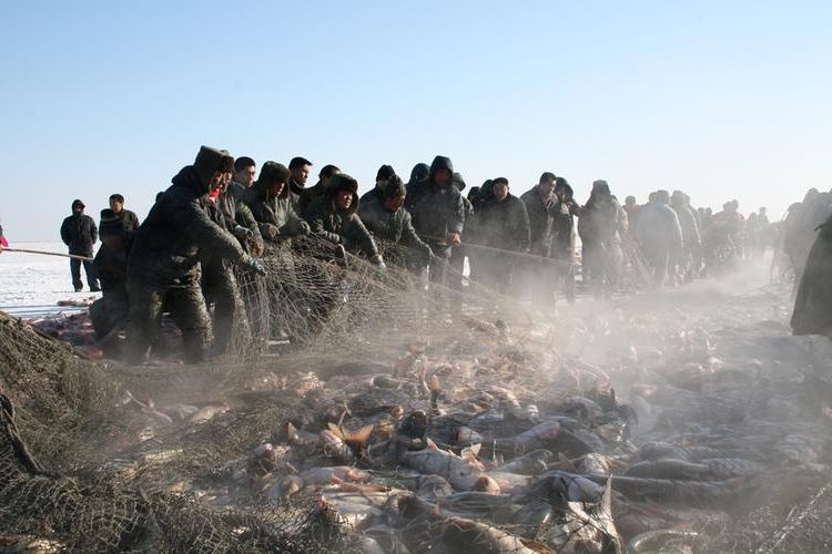 【镇赉县：松嫩平原腹地的零感染坚守之谜】