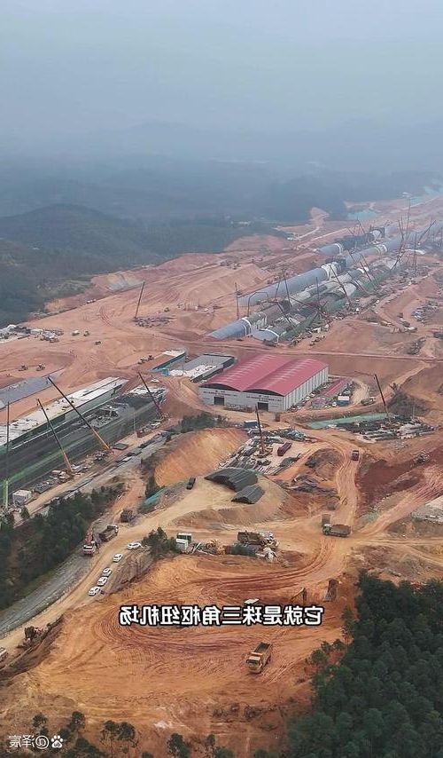 珠三角枢纽的防疫承压：佛山制造业流动下的疫情挑战