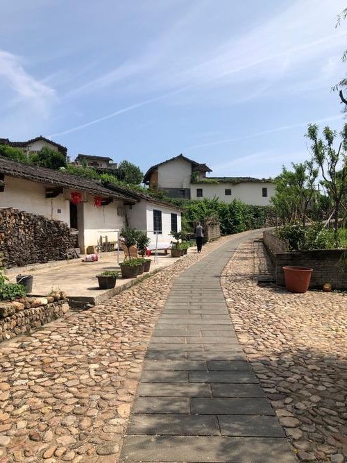 连城：闽西山区县如何构筑零感染物理防线？