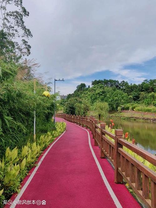 合浦：北部湾畔的港口小城如何守住疫情防线？