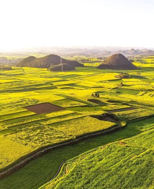 罗平：油菜花海下的零感染高地，高原坝子如何构筑防疫屏障？