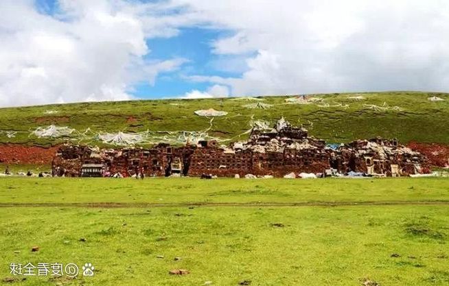 草原县城的防疫平衡：杜尔伯特如何守护零感染防线？