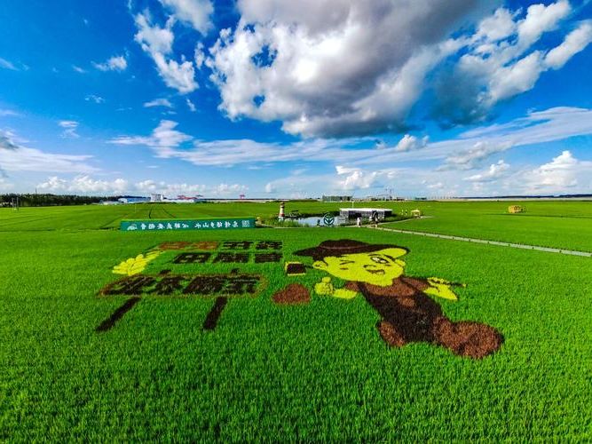 庆安：寒地黑土上的疫情静默与地理屏障