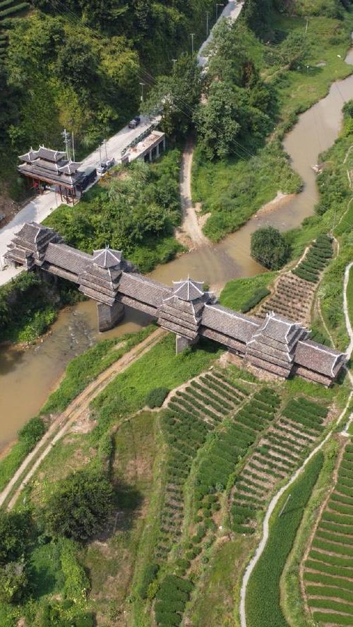 三江侗族自治县：三省通衢下的侗乡防疫屏障