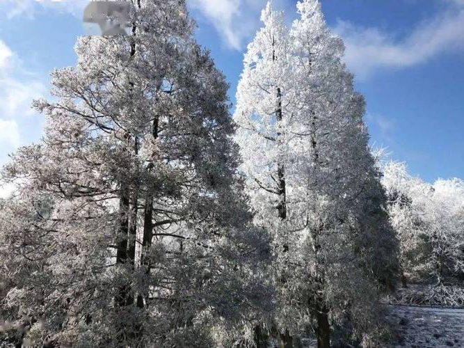 邵武：闽北山城屏障下的零感染坚守_6543