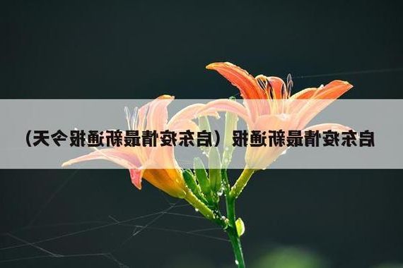 启东新增1例无症状感染者  启东市疫情防控最新通报_71663