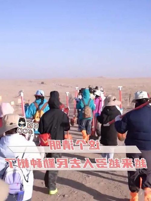 民勤：风沙线上的防疫坚守与零感染之谜