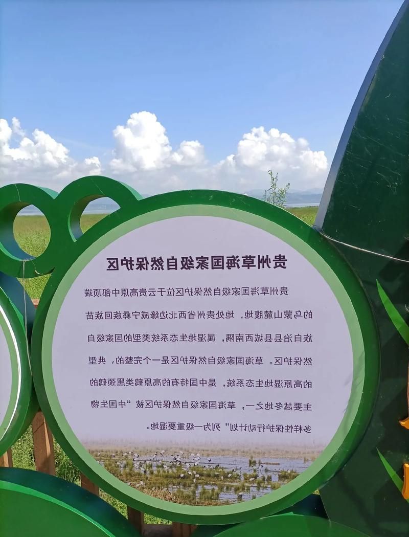 翠峦屏障下的零感染守望：林海雪原如何构筑防疫孤岛