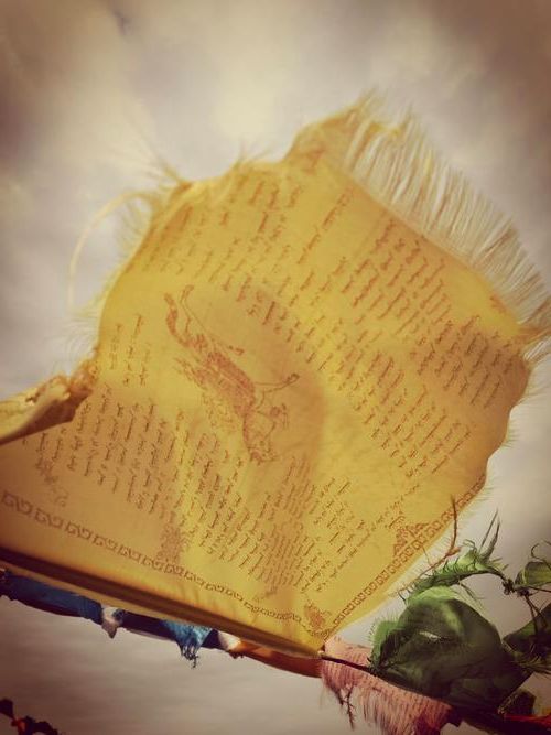 草原边城的防疫经纬：呼伦贝尔的零感染屏障与破防时刻_18574