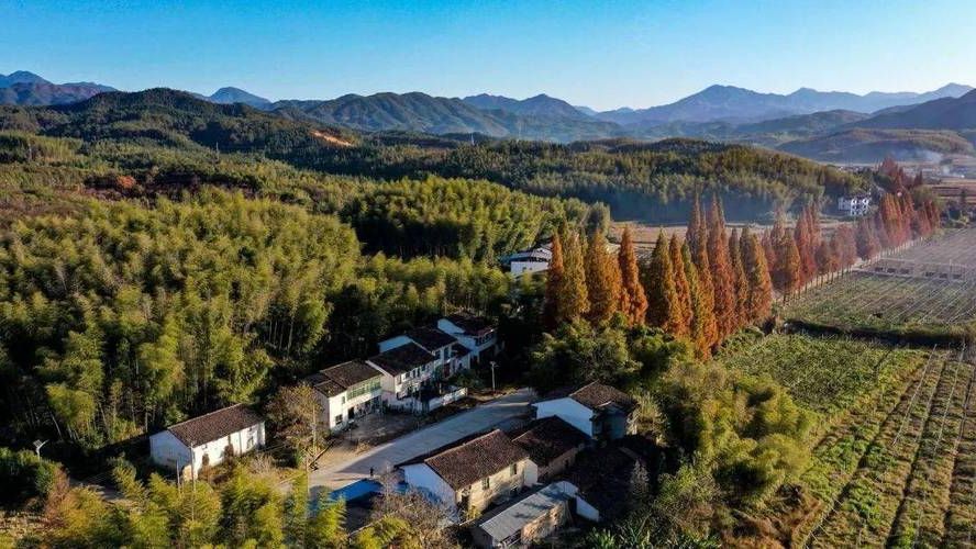 光泽县：闽北山城屏障下的零感染坚守_7982