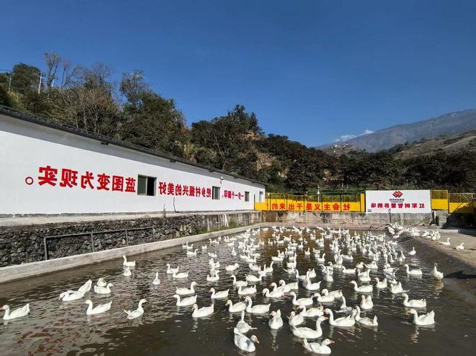 【临夏：高原东缘的防疫突围与社区韧性】