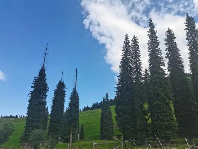 富民县：高原坝区的地理屏障与零感染纪录的维持