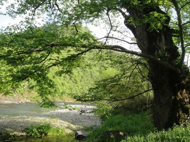 旌德：皖南山地屏障下的低感染样本解析_74837