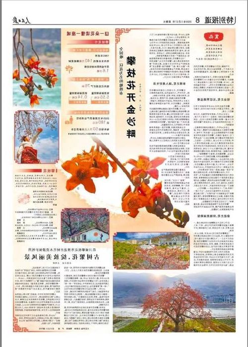 31省区市新增12例本土确诊,攀枝花疫情最新消息_60647