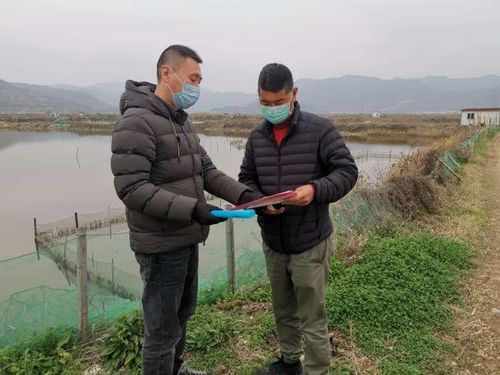 三门湾畔的防疫坚守：沿海小城的疫情压力与地理屏障_71218