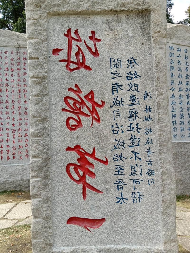 建瓯：闽北山城屏障下的零感染坚守_26270