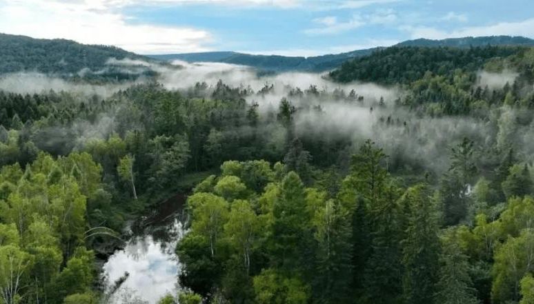 五营区零感染记录：小兴安岭林海屏障下的防疫实践_45813