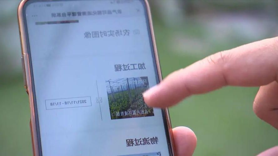 西青区疫情溯源：城乡结合部结构下的防控挑战