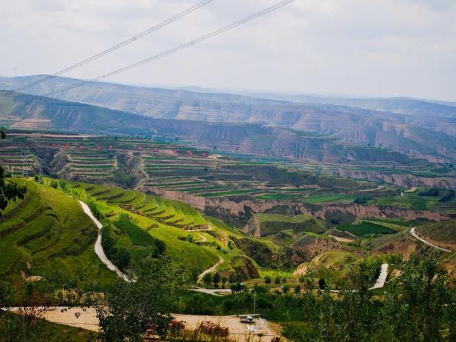 临洮：黄土高原沟壑间的零感染坚守_59205