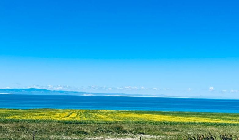 高原花海与病毒赛跑：门源零感染背后的地理屏障与社区网格