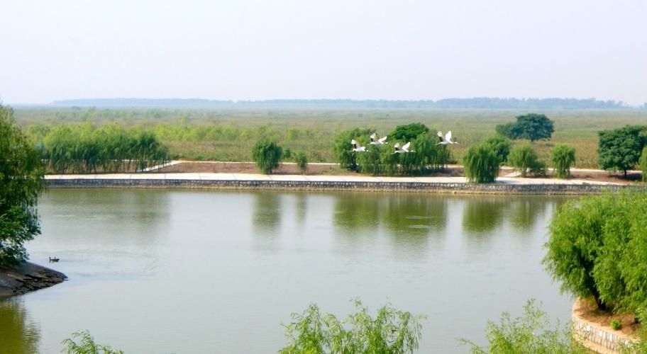 盐城湿地屏障下的防疫坚守：沿海门户如何实现低感染率？