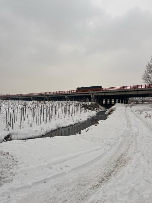 绥化寒地平原上的疫情阻击战：交通枢纽与低温环境下的防控挑战