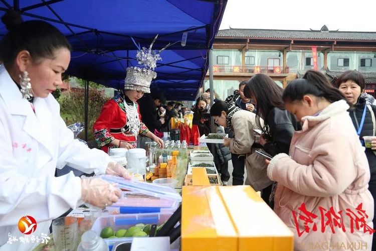 花垣：湘西边陲的防疫屏障与零感染坚守