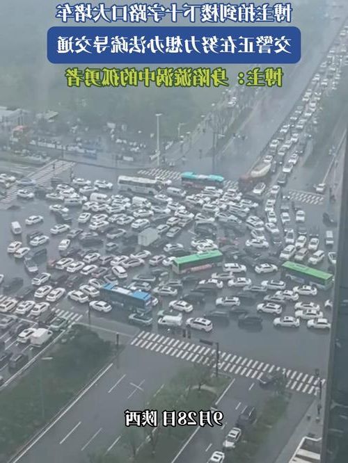 谢家集区：交通枢纽下的疫情破防与围堵