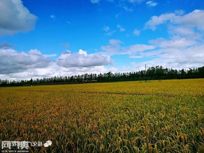 明水县：寒地黑土上的疫情防线与破防时刻