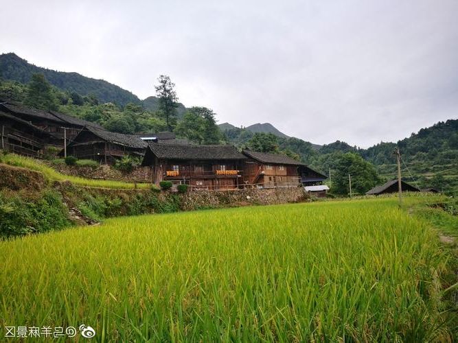 麻江：苗岭腹地的零感染坚守与地理屏障