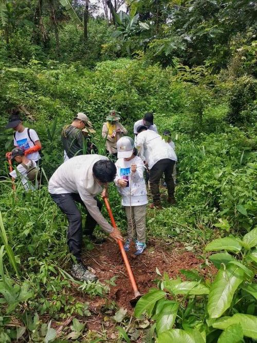 边境绿洲的防疫考卷：景洪热带雨林屏障下的防控实践