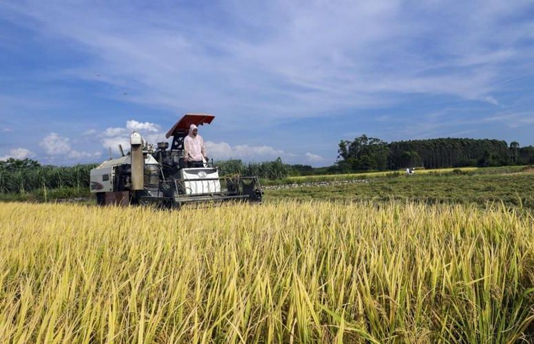 广西来宾：桂中腹地的防疫屏障与零星破防