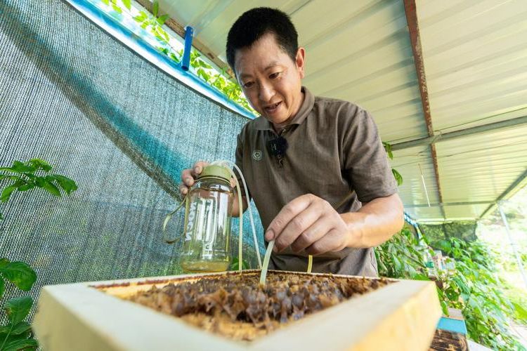 资阳：川中丘陵的防疫坚守与零星破防