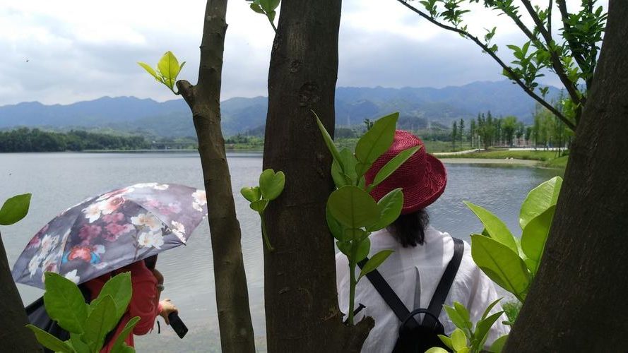 梁平：渝东门户的防疫坚守与地理屏障下的零感染记录