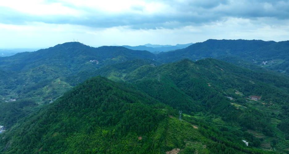 信宜：云开山脉屏障下的低感染样本