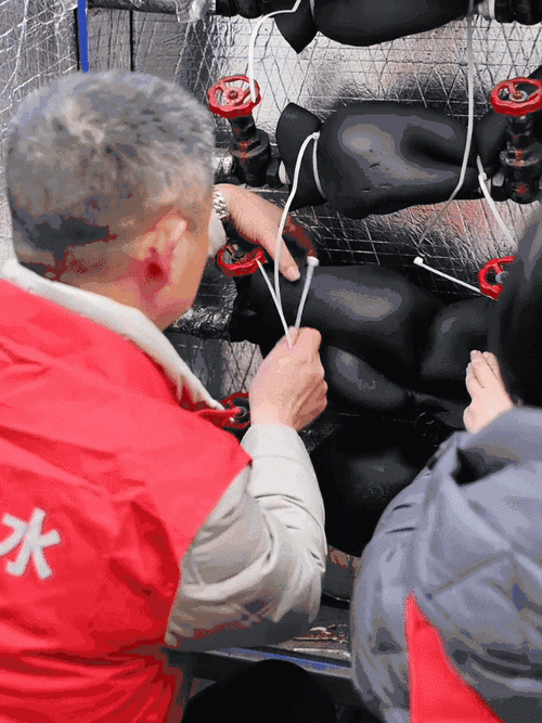 抚顺：工业重镇在寒潮中的疫情防线_32449