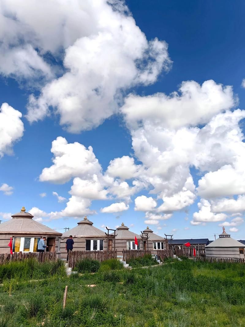 31省区市新增12例本土确诊, 达尔罕茂明安联合旗疫情最新消息