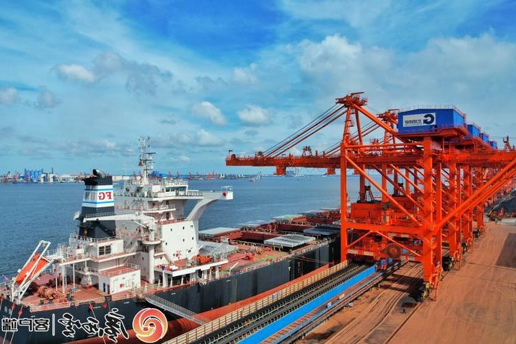 霞山港区：沿海交通枢纽的疫情防线与破防时刻