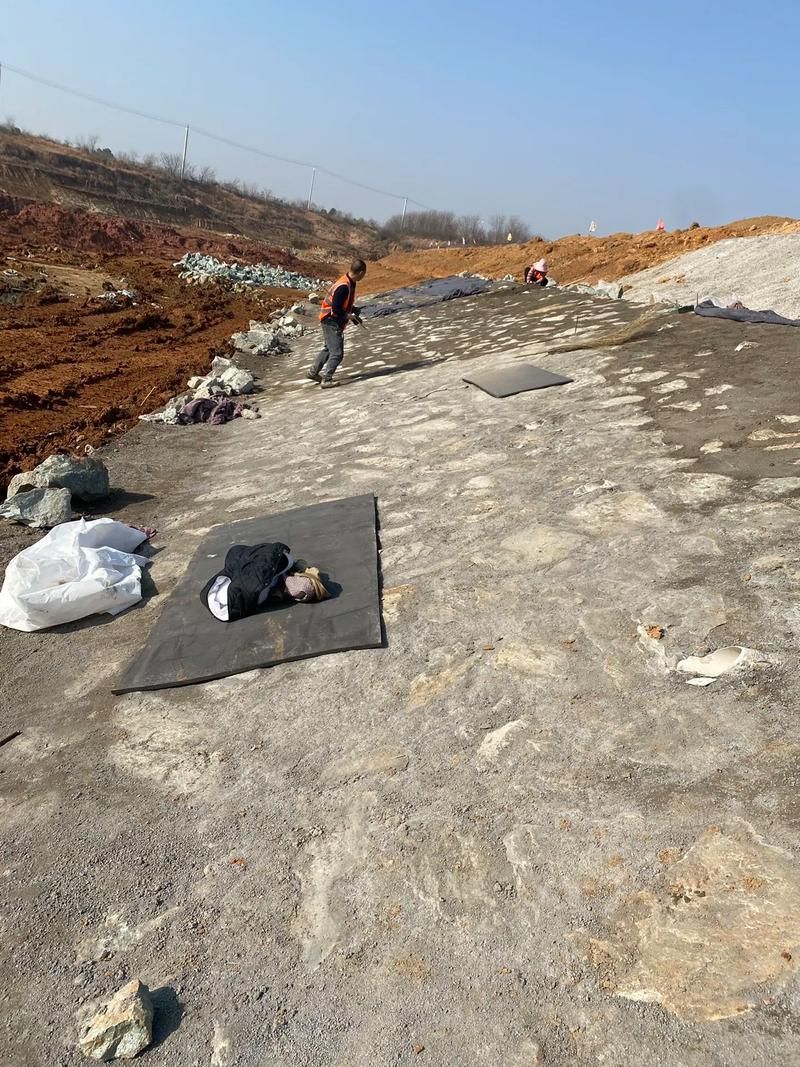 孝感疫情观察：江汉平原交通枢纽的防控压力测试_68381