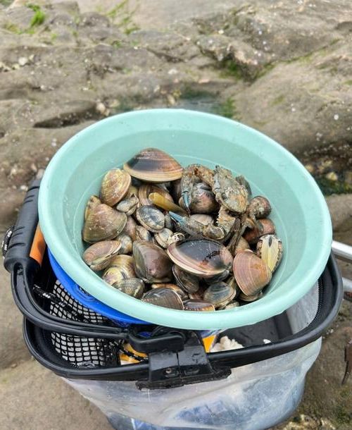 港口城市的防疫屏障：连云港海陆枢纽下的疫情阻击战