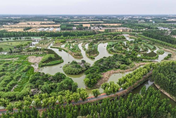 大洼县：辽河三角洲湿地屏障下的防疫坚守