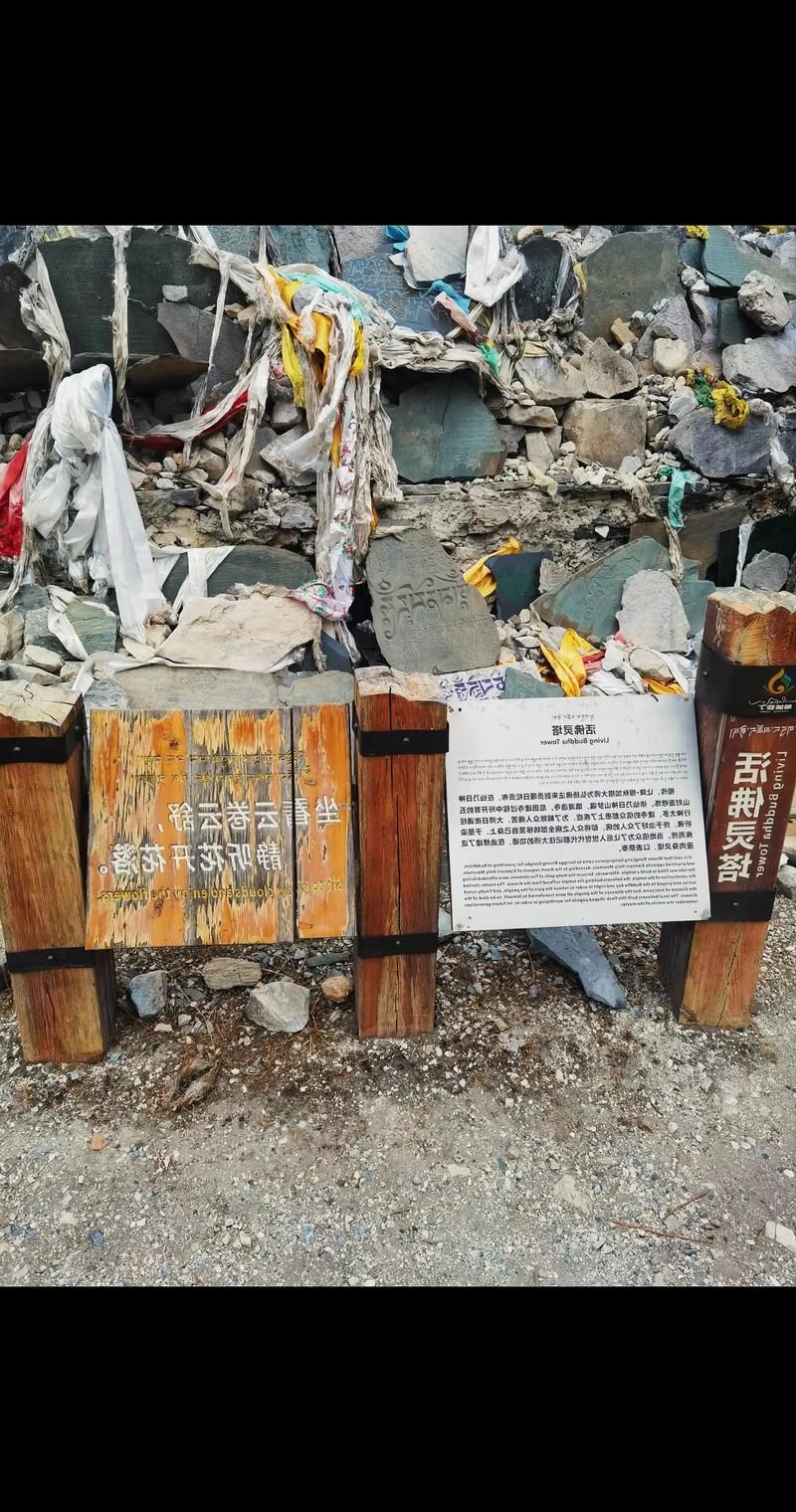 高原小城何以守住净土：碌曲地理屏障下的零感染实践